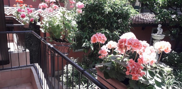 Gioia Guest House image 1