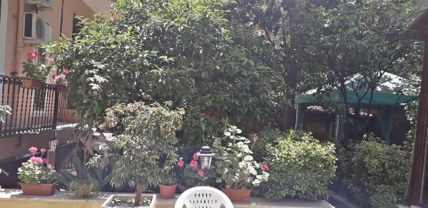 Gioia Guest House image 7